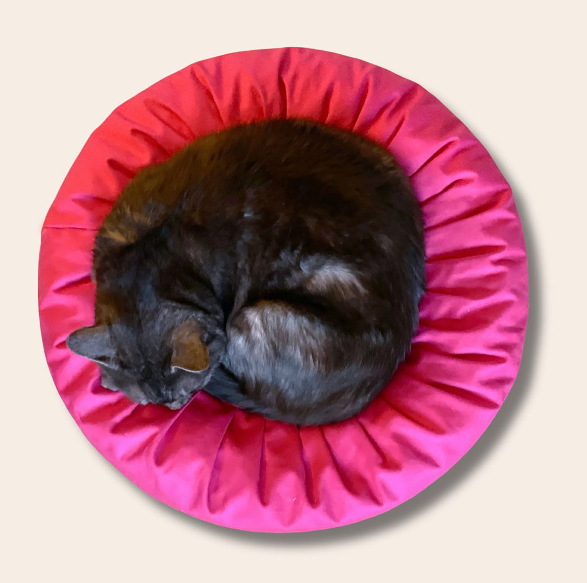 CatBeanBag_f40e7c61-8123-440c-9a95-fd581b92ed69