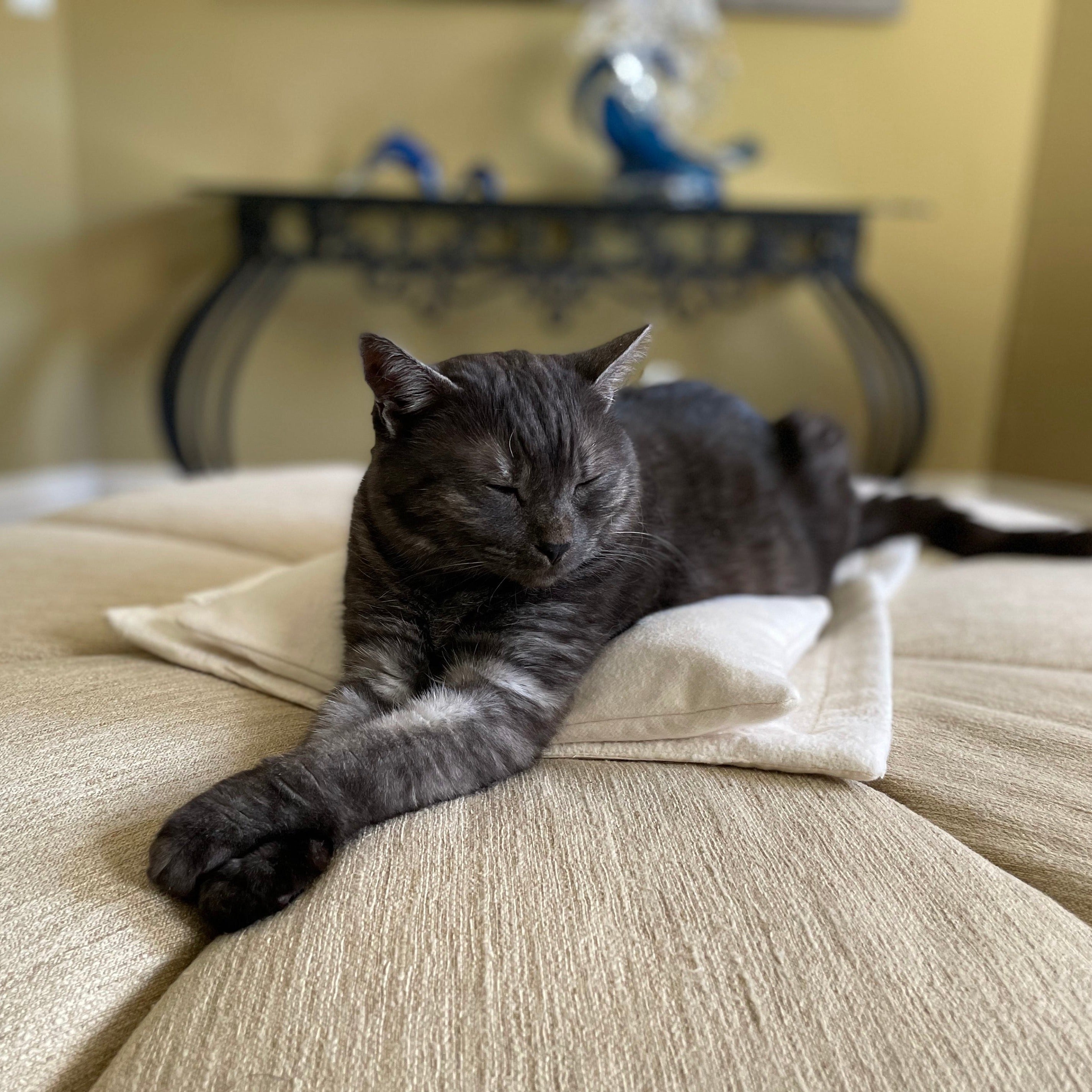 CatPillowLarge
