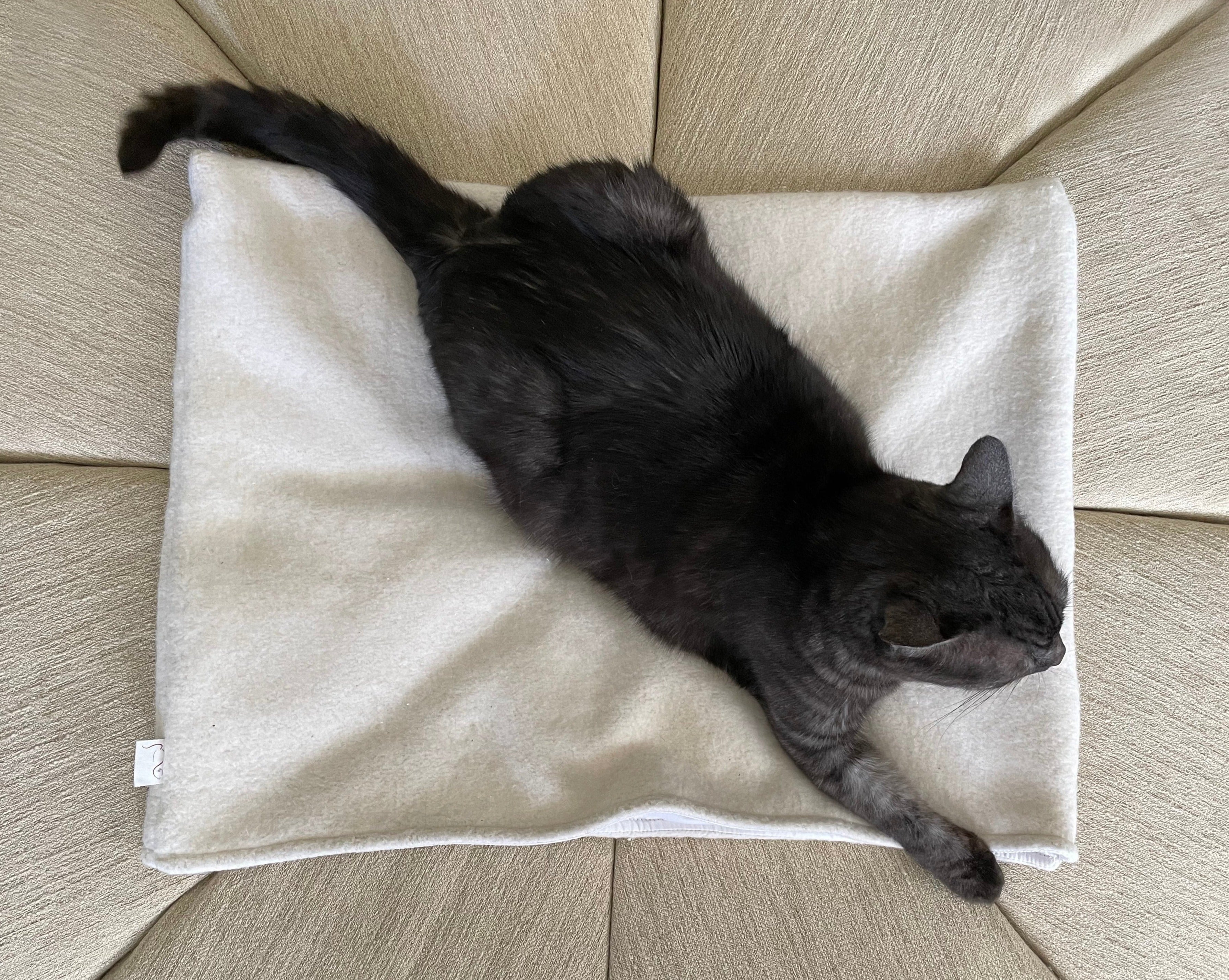 CatSleepingBagClosed