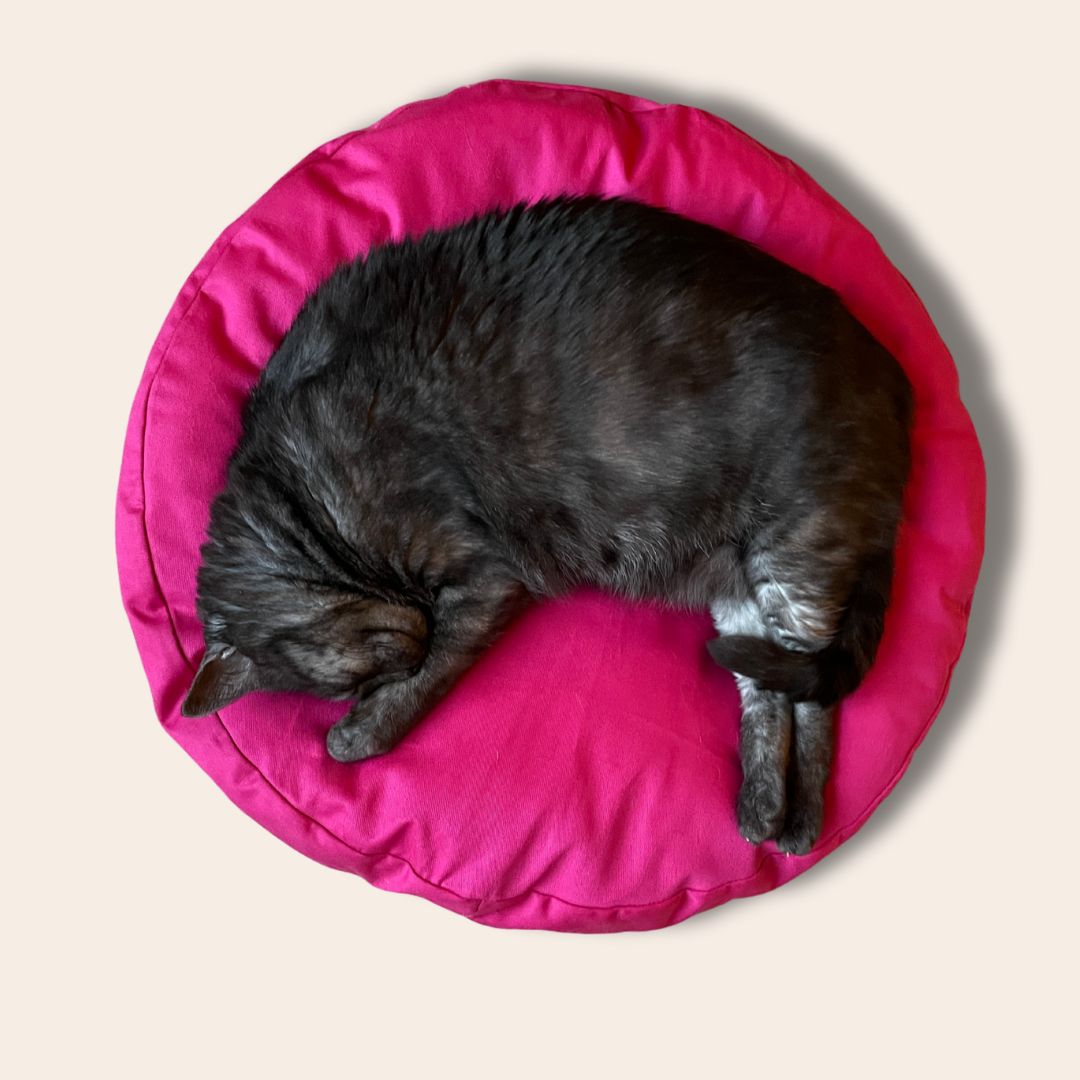 FluffyCatBed
