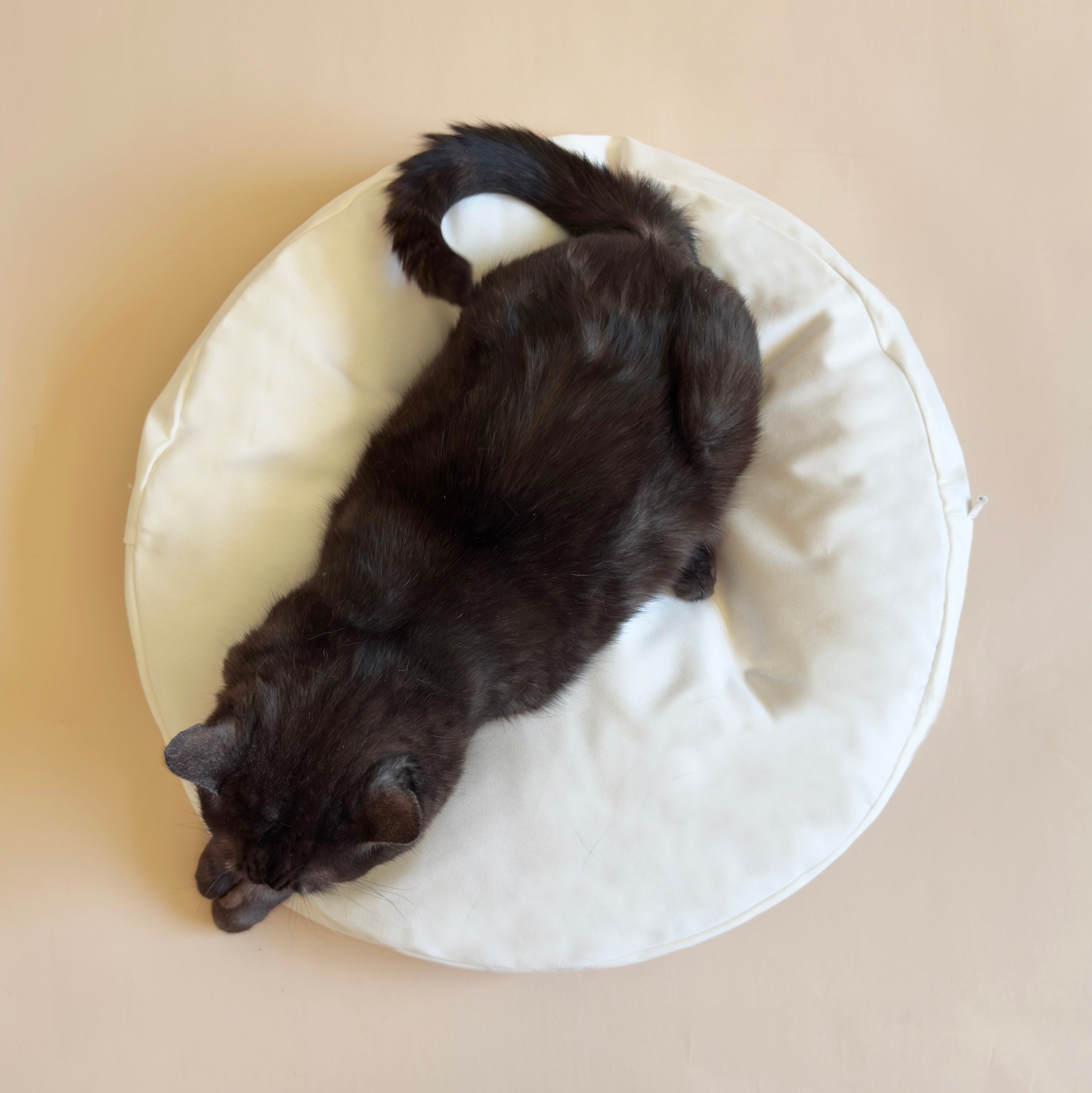FluffyPillowWhite