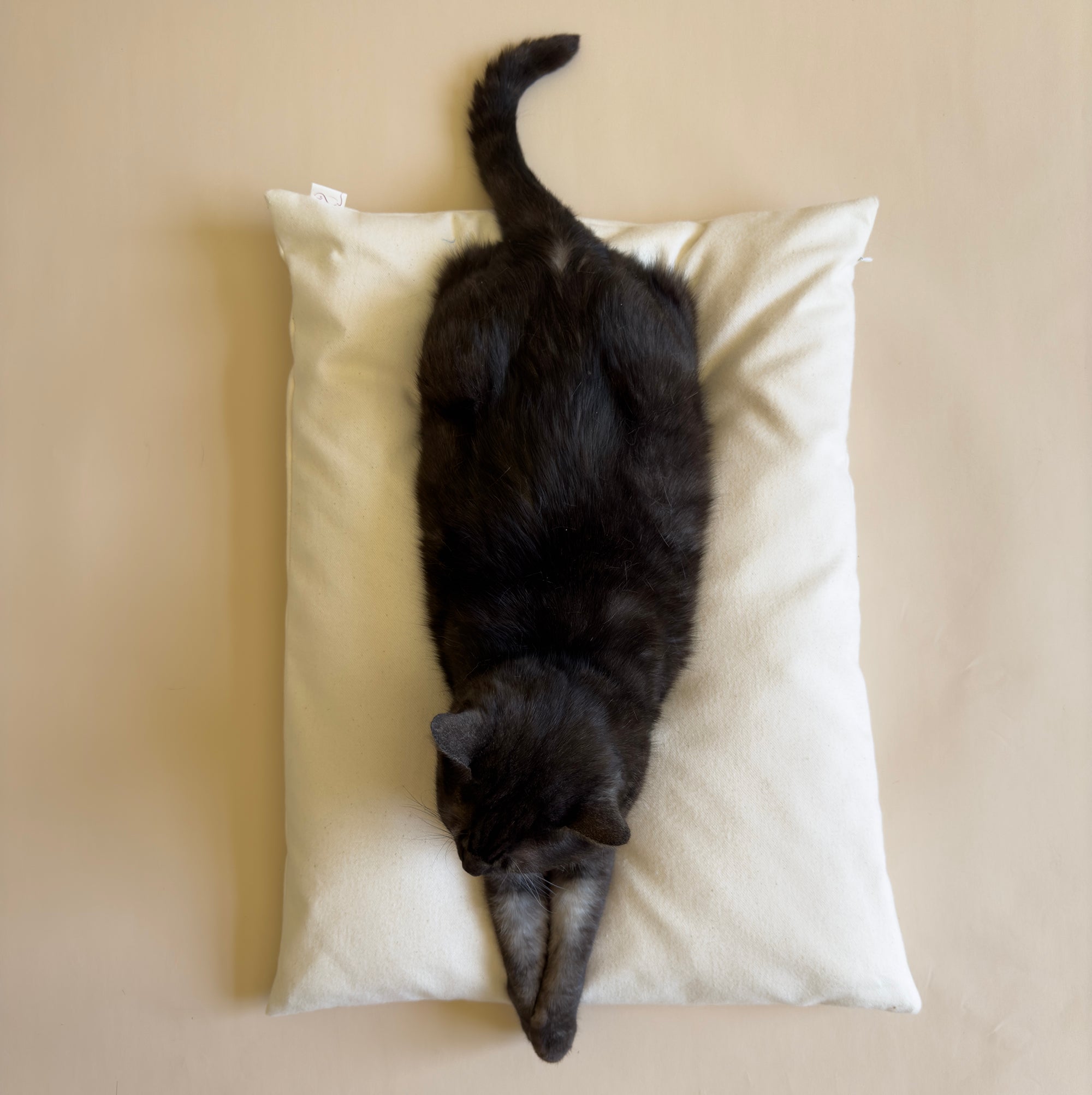 NaturaCatBedPillowTop