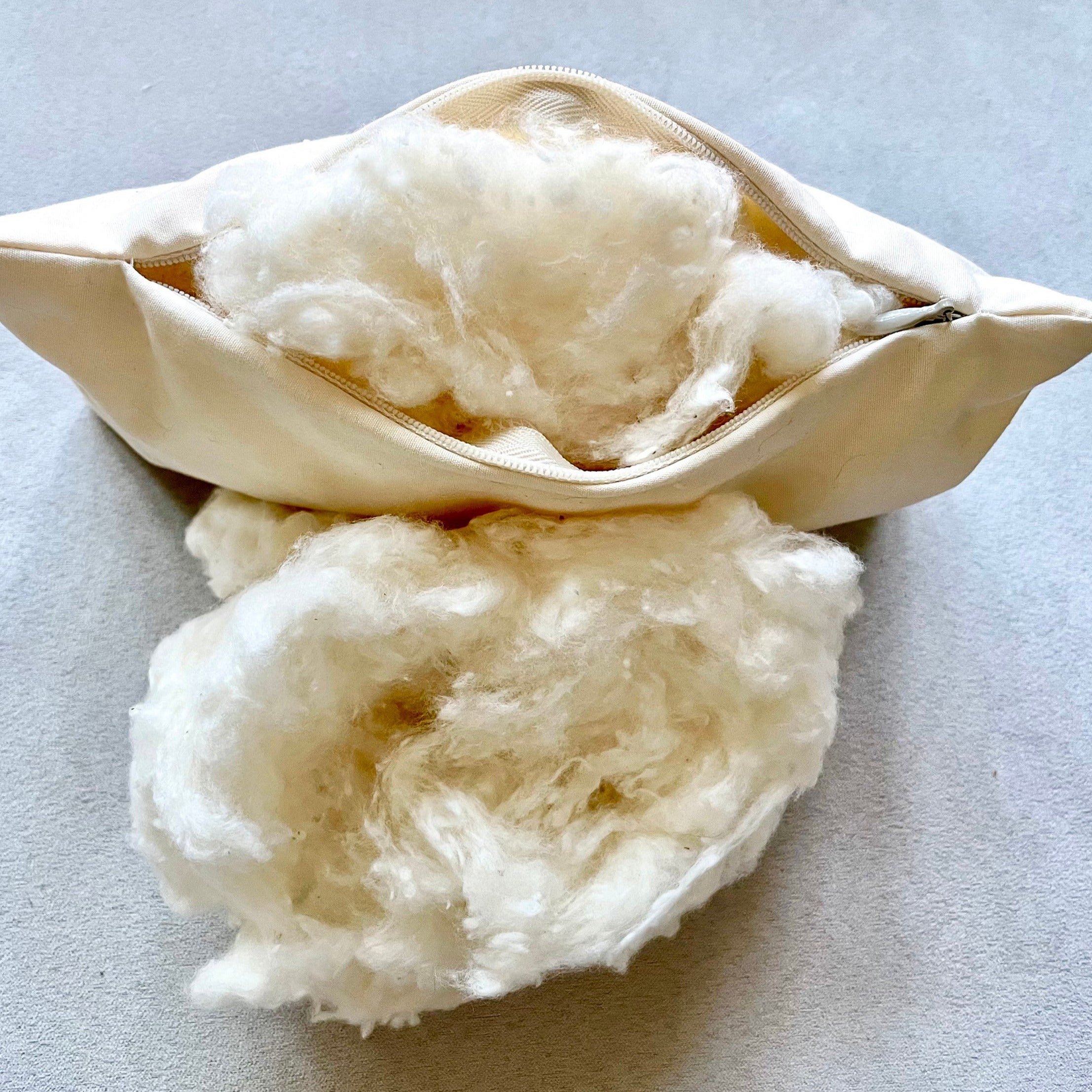 OrganicCotton