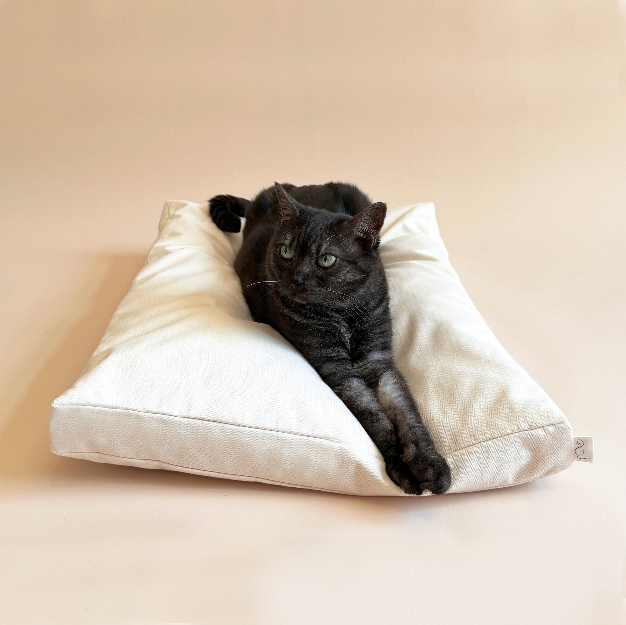 PlushCatPillow