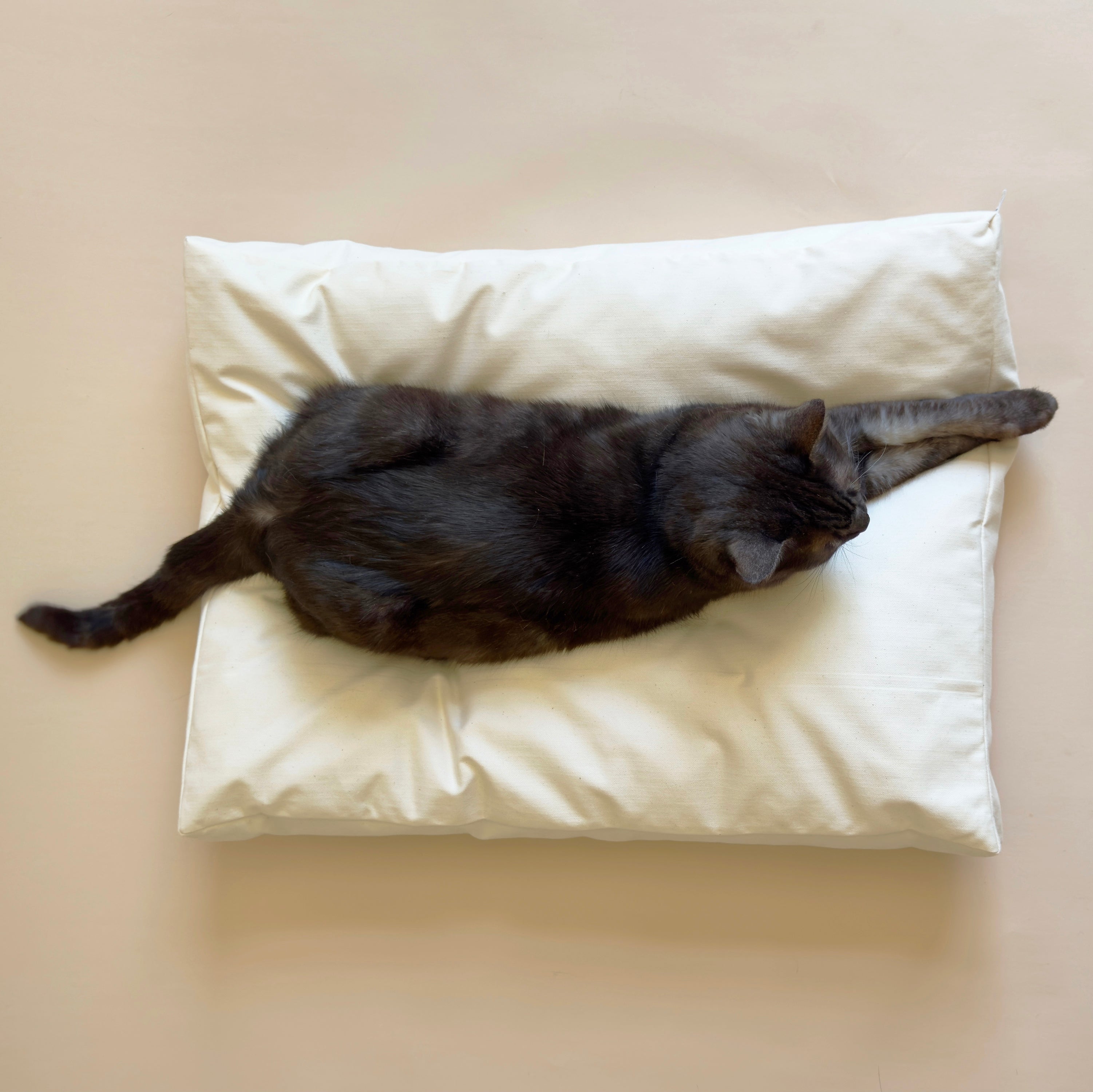 PlushPillowTop_0e93893e-6bac-436c-9398-a3a282a67c84