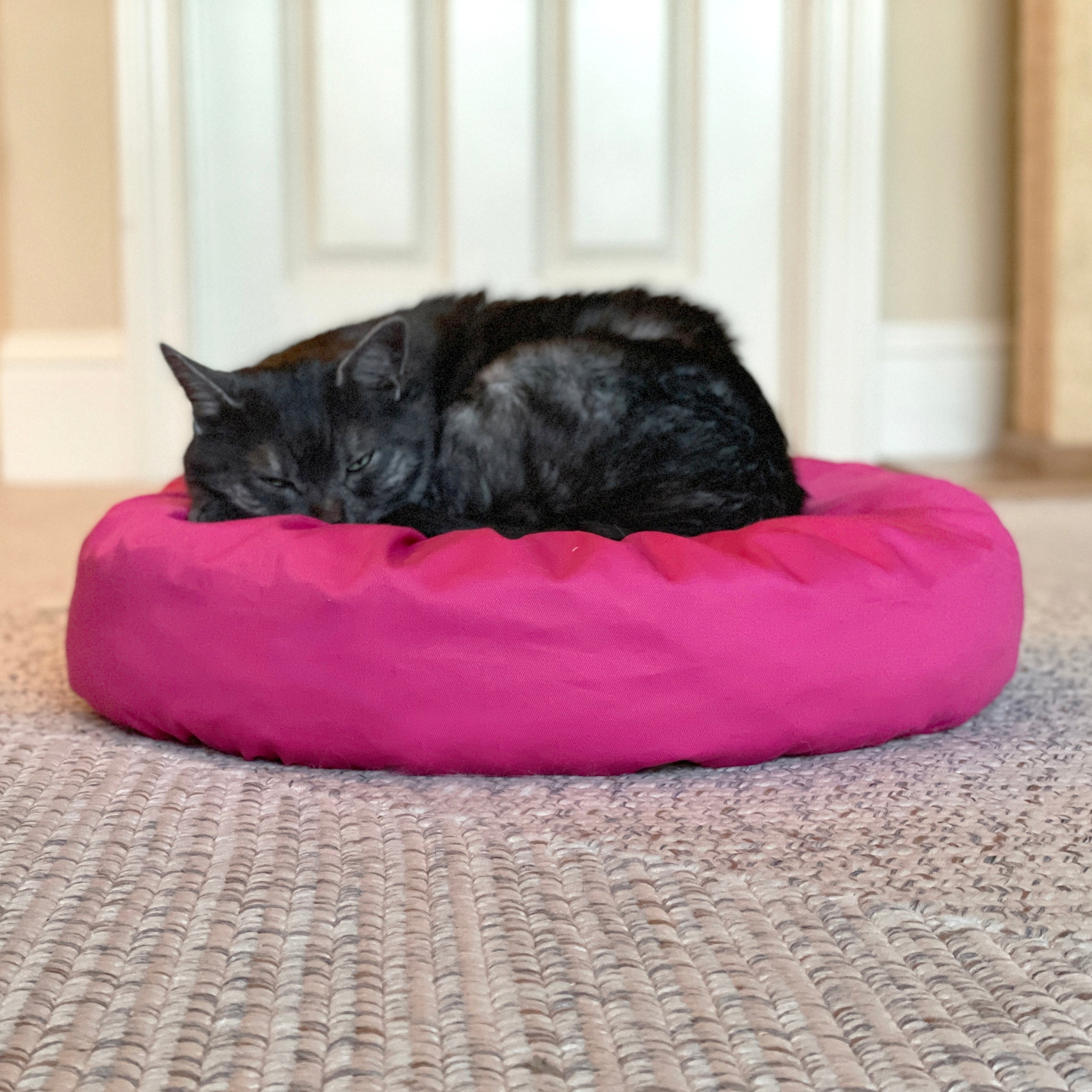 PoufCatBeanBagLifestyle